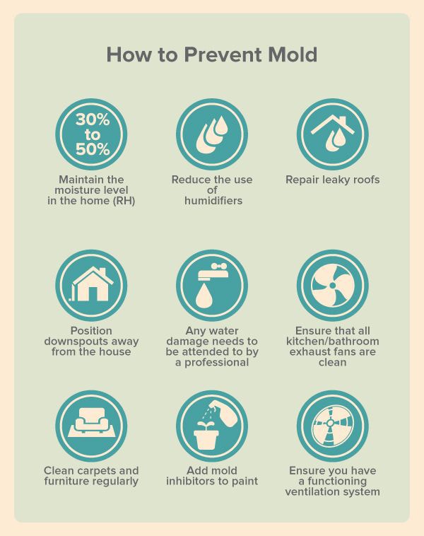 additional information on prevention of mold