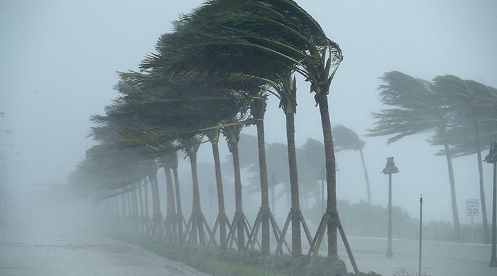 public adjuster for wind and hurricane